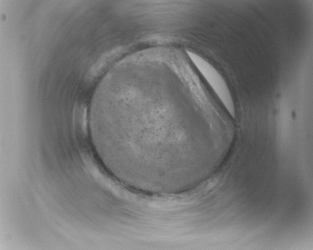 X0000051880024200507151924