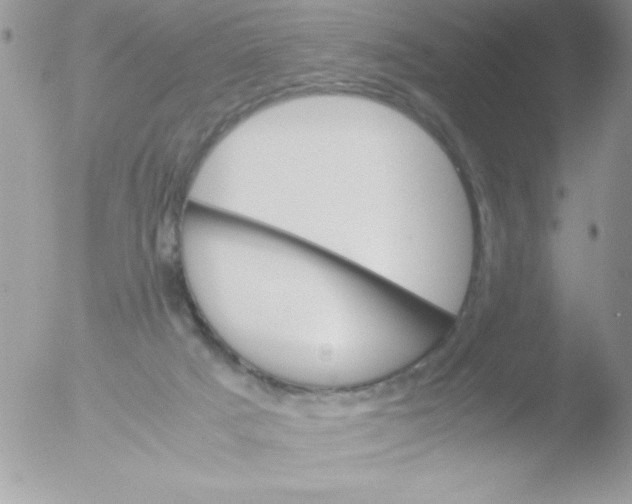 X0000051880025200507151924