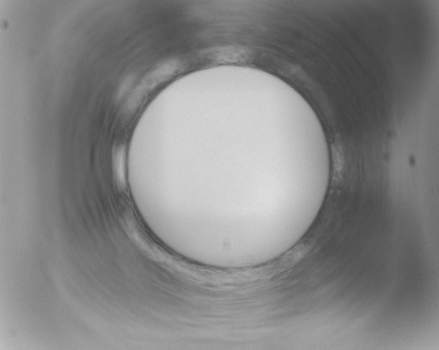 X0000051880028200507151924