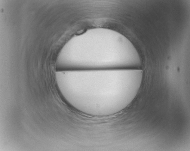 X0000051880031200507151924