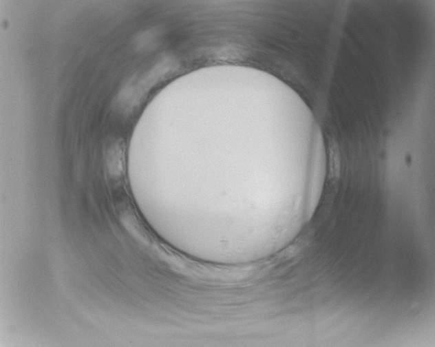 X0000051880032200507151924