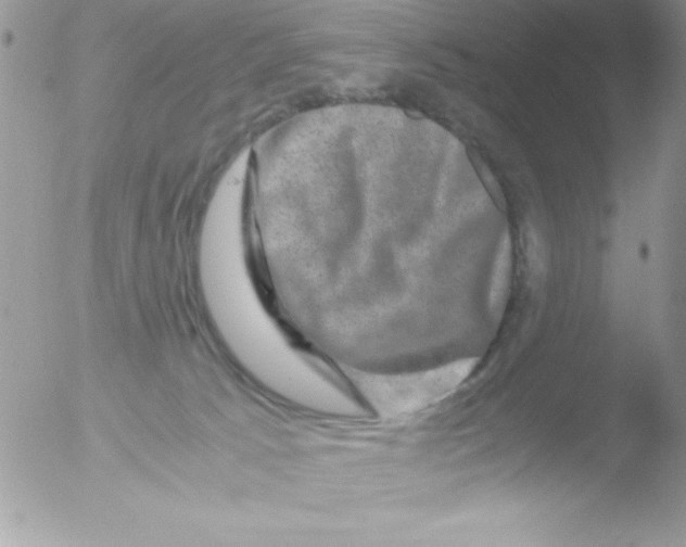 X0000051880033200507151924