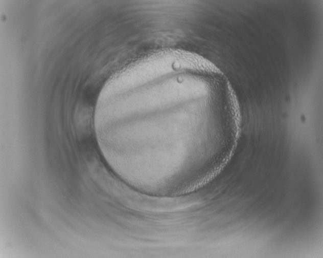 X0000051880034200507151924