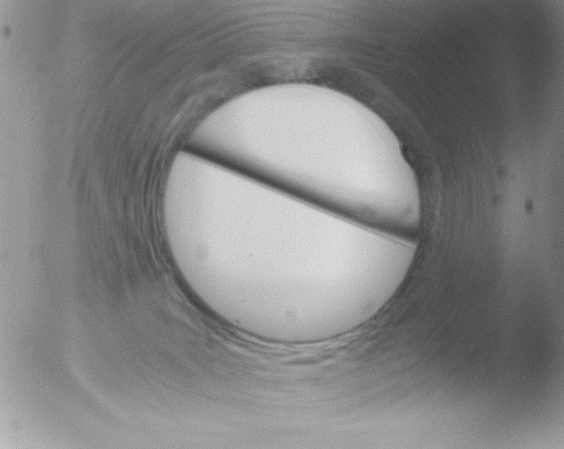 X0000051880035200507151924