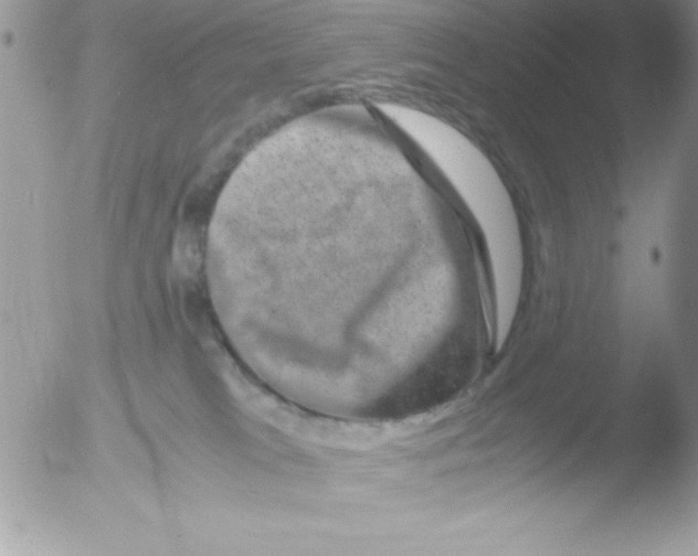 X0000051880037200507151924