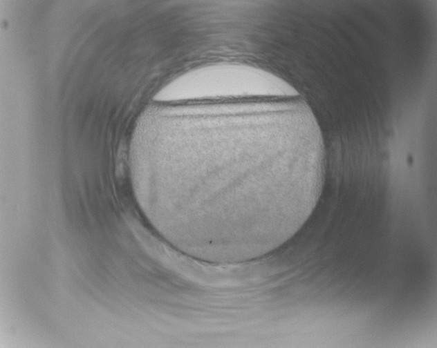 X0000051880038200507151924