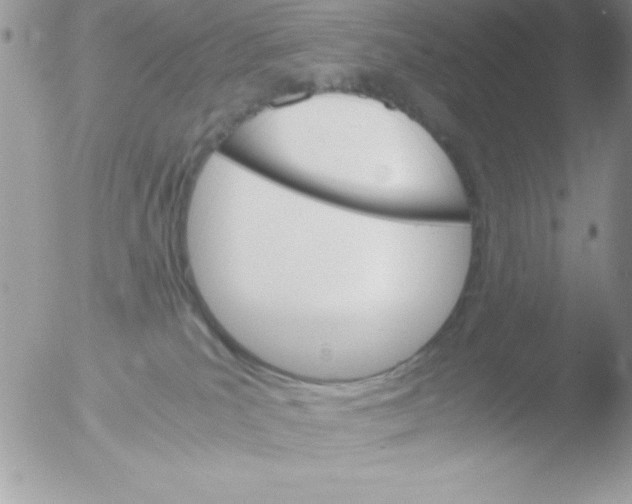 X0000051880039200507151924