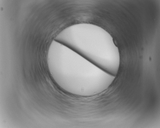 X0000051880040200507151924