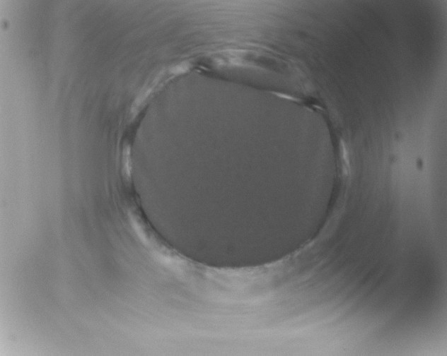 X0000051880041200507151924