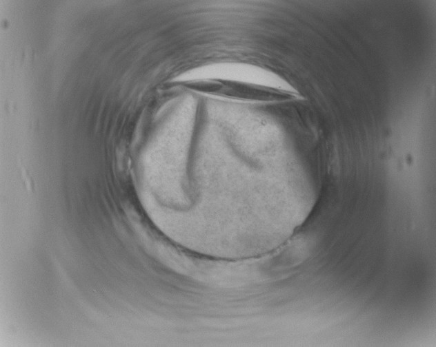 X0000051880044200507151924