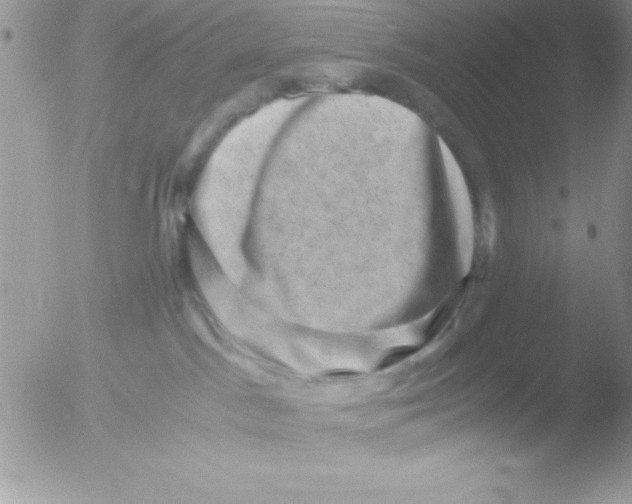 X0000051880045200507151924