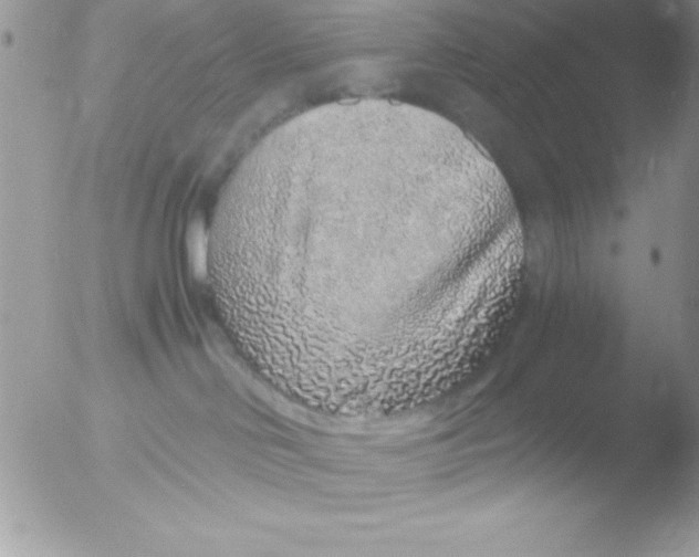 X0000051880046200507151924