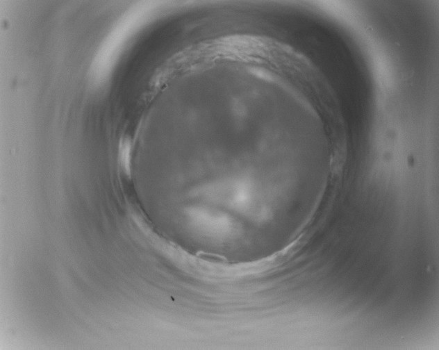 X0000051880047200507151924