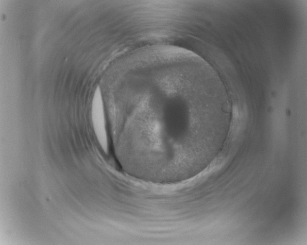 X0000051880048200507151924