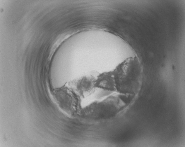 X0000051880049200507151923