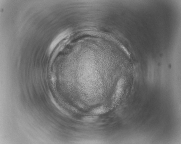 X0000051880051200507151923