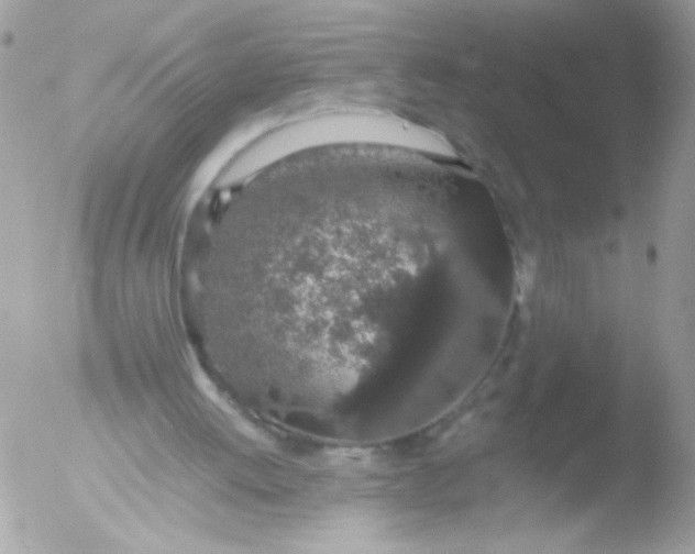 X0000051880052200507151923