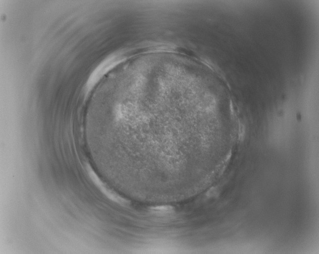 X0000051880053200507151923