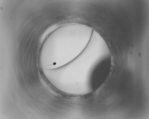 X0000051880054200507151923