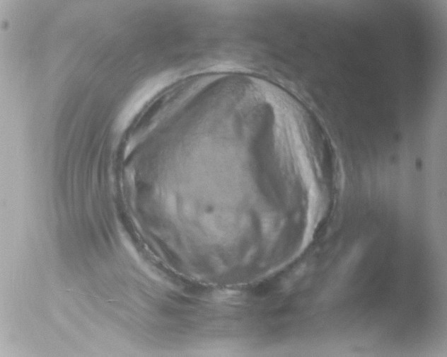 X0000051880055200507151923