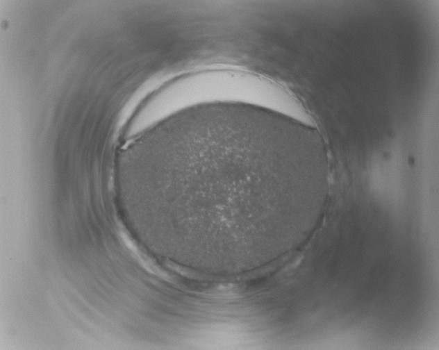 X0000051880056200507151923