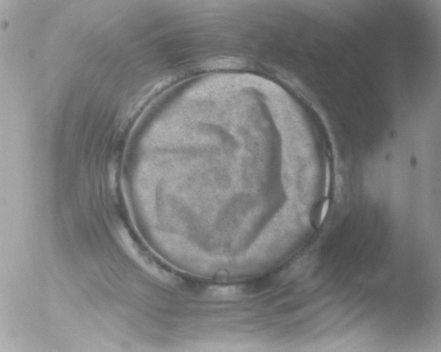 X0000051880057200507151923