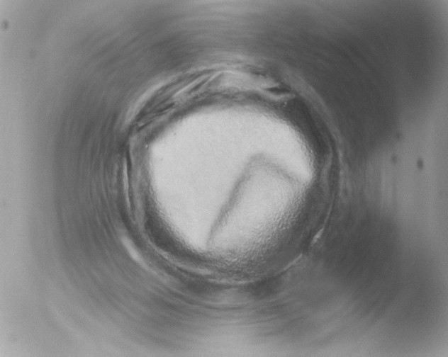 X0000051880058200507151923