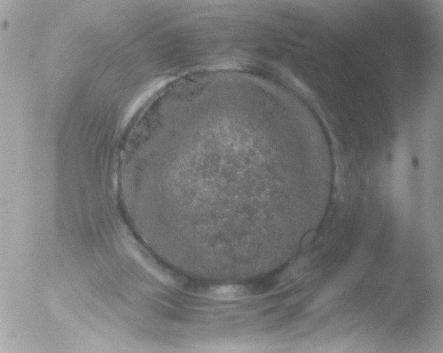 X0000051880059200507151923