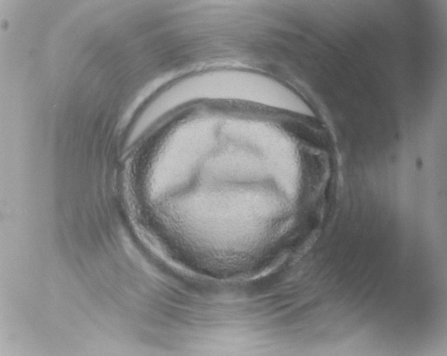 X0000051880060200507151923