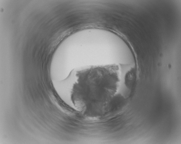 X0000051880061200507151923