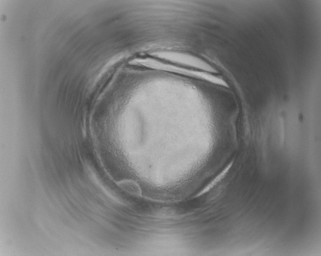 X0000051880062200507151923