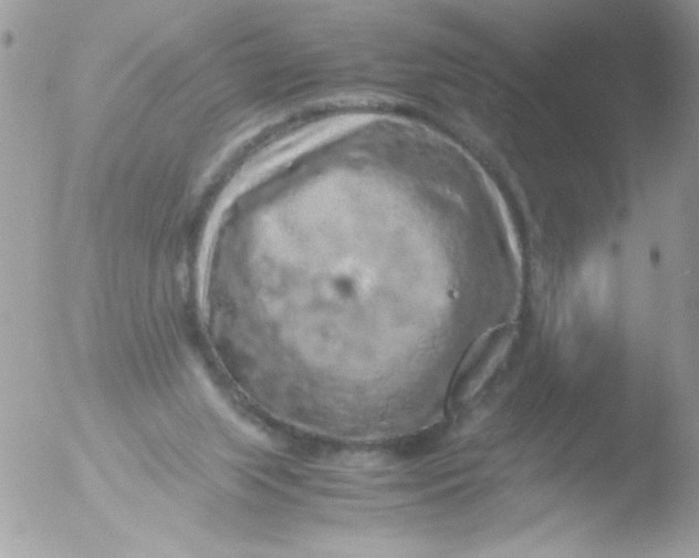 X0000051880063200507151923