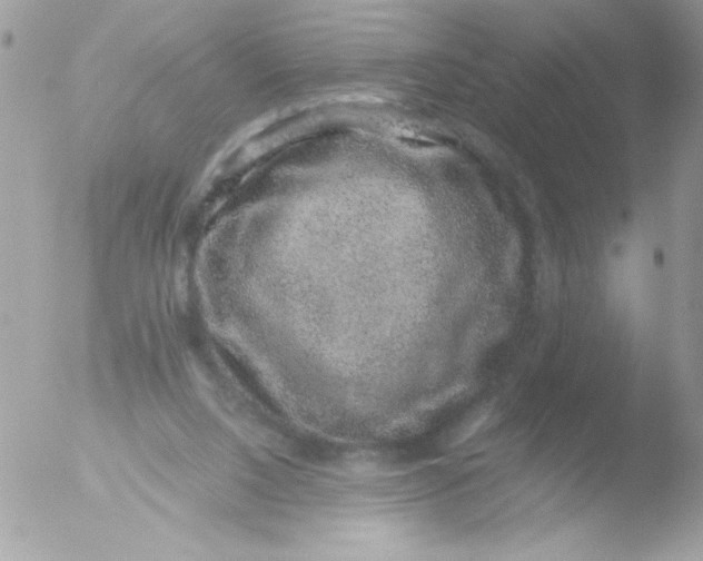 X0000051880064200507151923