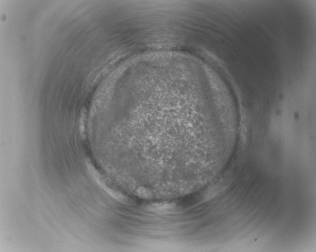 X0000051880065200507151923