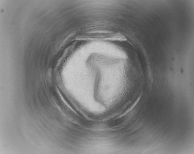 X0000051880066200507151923