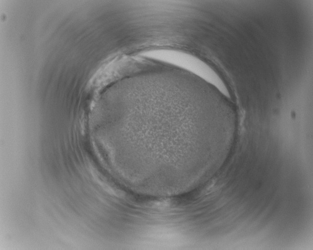 X0000051880068200507151923