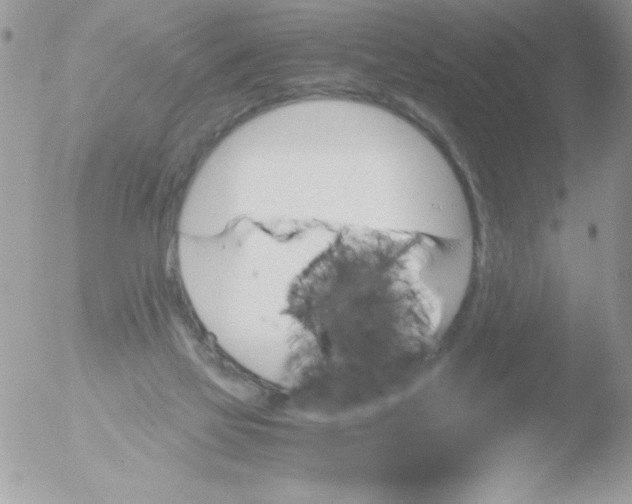 X0000051880069200507151923