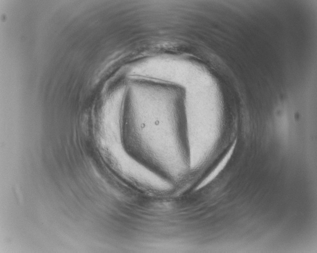 X0000051880071200507151923