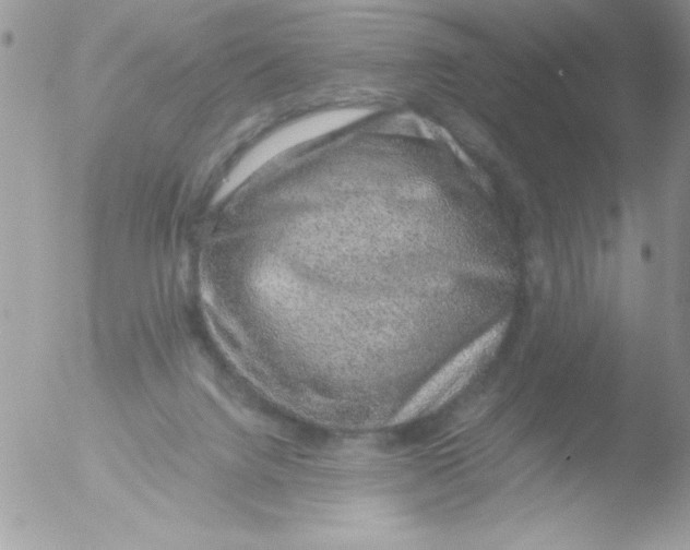 X0000051880072200507151923