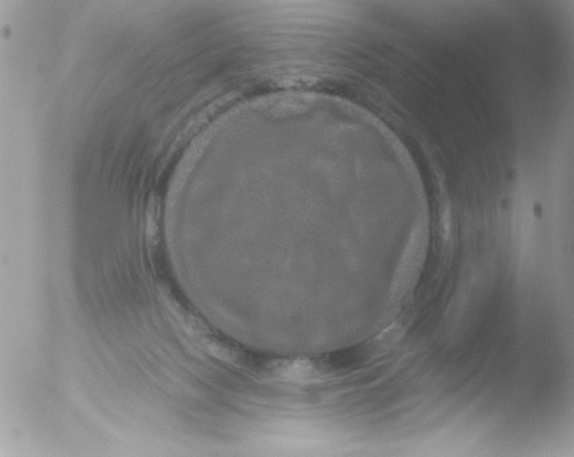 X0000051880074200507151923