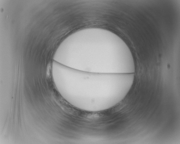 X0000051880075200507151923