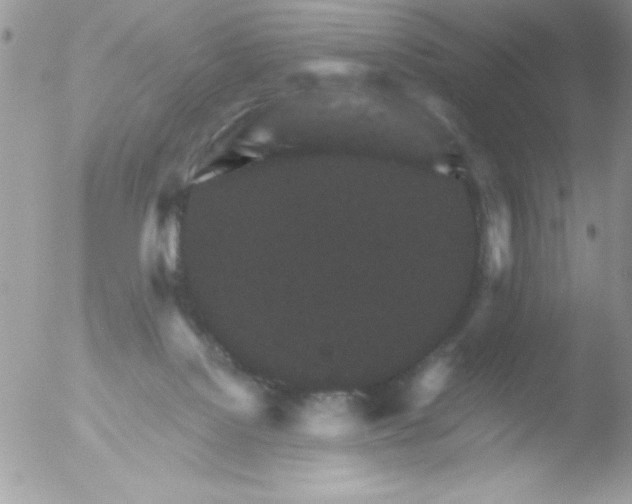 X0000051880076200507151923