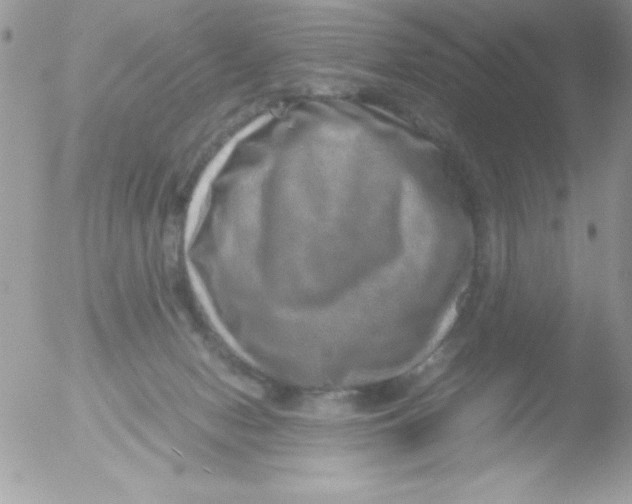 X0000051880078200507151923