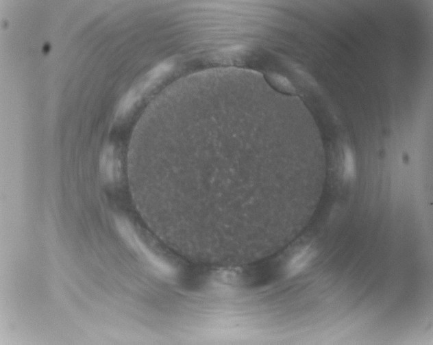 X0000051880080200507151923