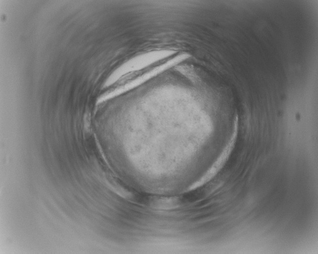 X0000051880081200507151923