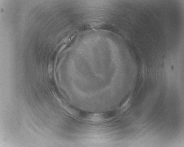 X0000051880082200507151923