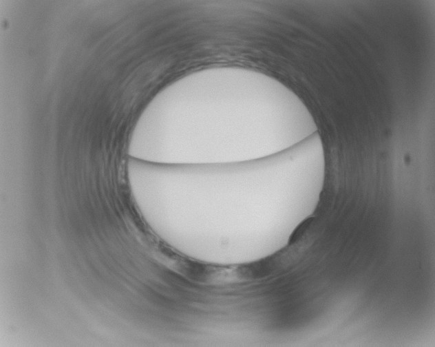 X0000051880083200507151923