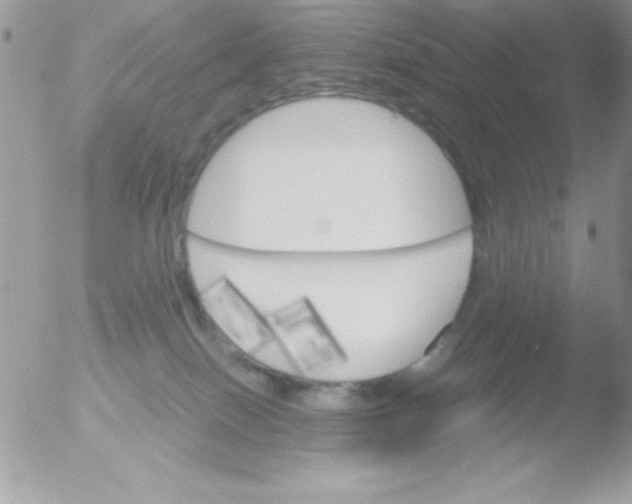 X0000051880086200507151924