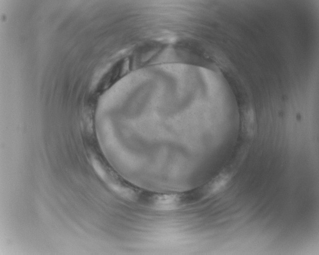 X0000051880088200507151924