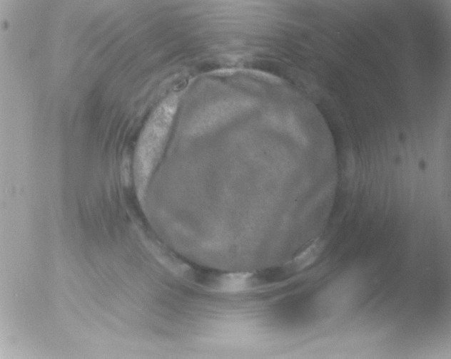 X0000051880090200507151924